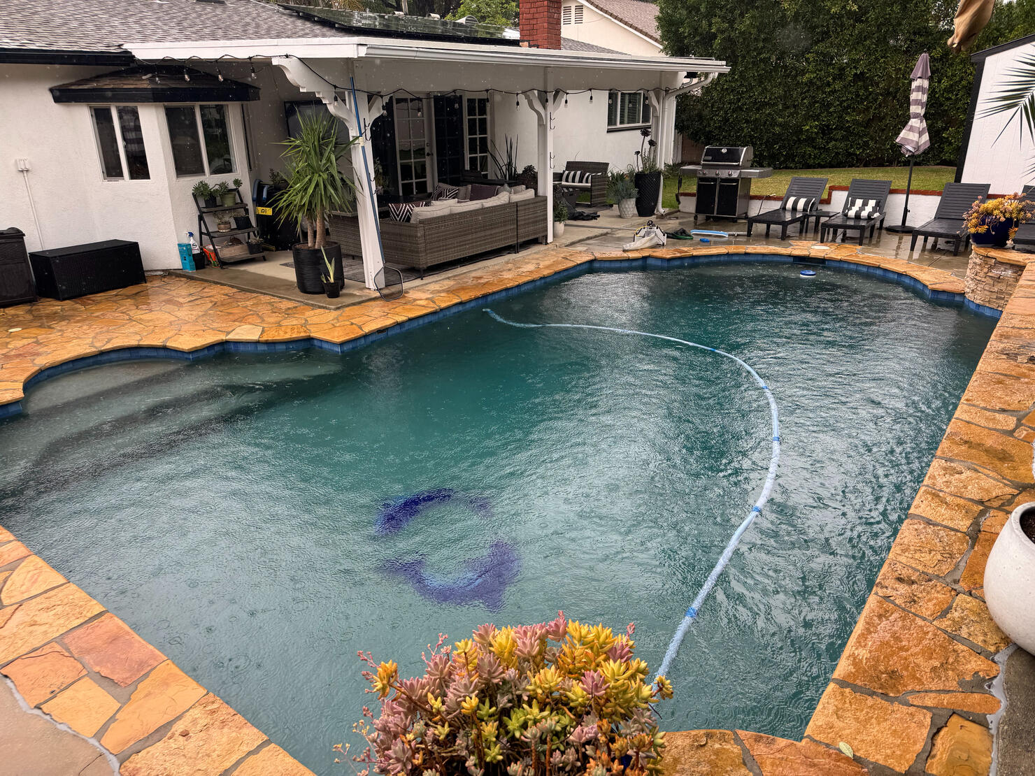 North Hollywood | 2024